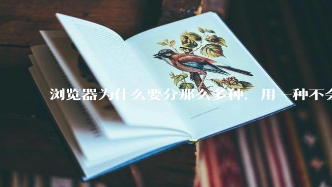 浏览器为什么要分那么多种，用一种不会很快捷吗？