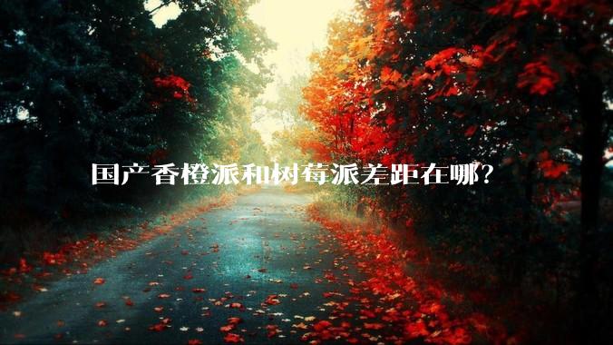 国产香橙派和树莓派差距在哪？