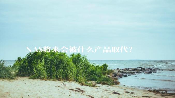 NAS将来会被什么产品取代？